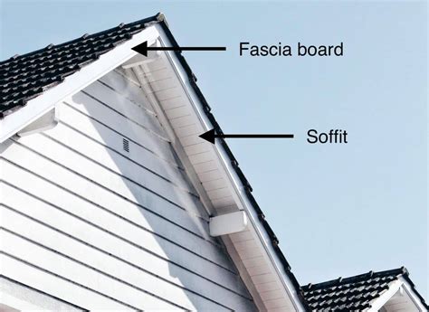 what is fascia on building